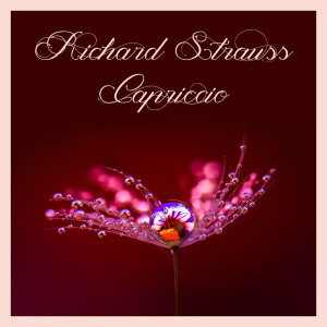 Album Richard strauss: capriccio from Nicolai Gedda