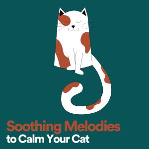 Cat Music Therapy的专辑Soothing Melodies to Calm Your Cat