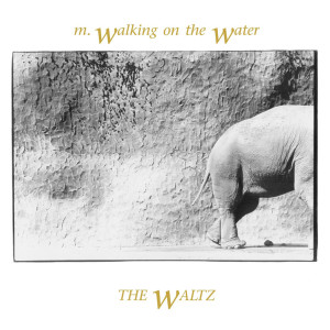 Album The Waltz from M. Walking On The Water
