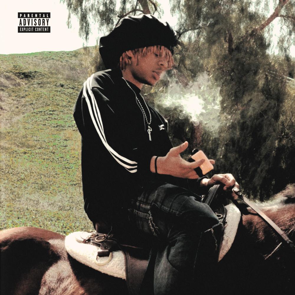 French Tips (feat. SkinnyBoi CJ) (Explicit)