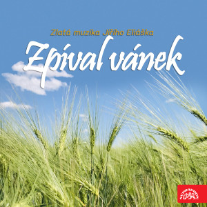 Listen to Lesní stráně song with lyrics from Irena Čížková