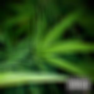 Monking的專輯Sexo y **** (feat. BOI CORTES, Quintanna & Fresh G) [Explicit]