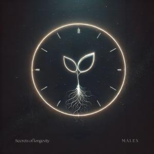 收聽Malex的Secrets of Longevity歌詞歌曲