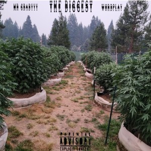 Listen to The Biggest (Explicit) song with lyrics from Mr GBabyyy