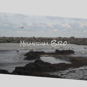 Listen to Mesmerism Bro song with lyrics from Ernis Siddh