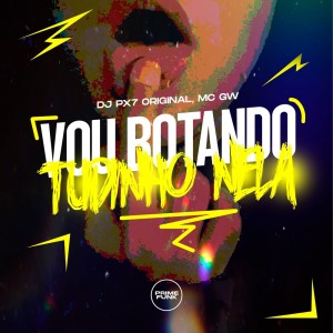 Album Vou Botando Tudinho Nela (Explicit) from DJ Px7 Original