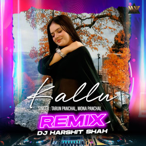 Album Kallu (Remix) from Tarun Panchal