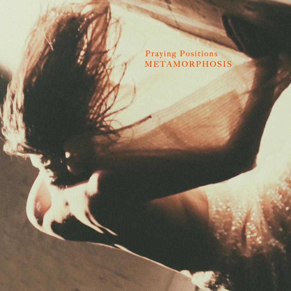 Praying Positions . Metamorphosis (Edit)