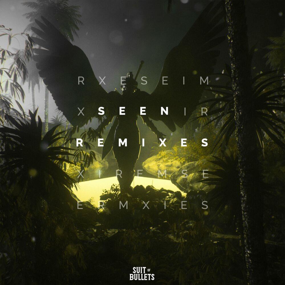 Seen (feat. Veronica Bravo) (Paul Flint Remix)
