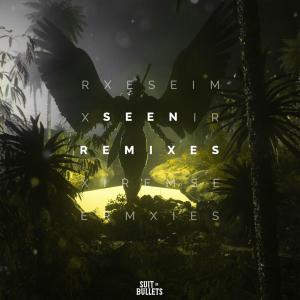 ดาวน์โหลดและฟังเพลง Seen (feat. Veronica Bravo) (Paul Flint Remix) พร้อมเนื้อเพลงจาก Anikdote