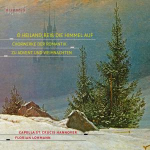 ดาวน์โหลดและฟังเพลง Herbei, O ihr Gläubigen (完整版) พร้อมเนื้อเพลงจาก Capella St. Crucis Hannover