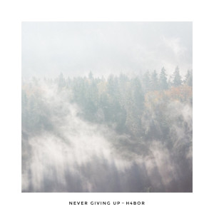 Listen to Never Giving up (完整版) song with lyrics from H4Bor