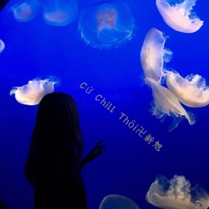 Album Cứ Chill Thôi (越南鼓) from 新旭