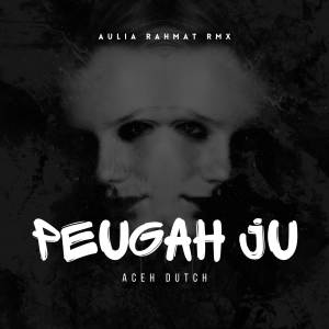 AULIA RAHMAT RMX的專輯PEUGAH JU