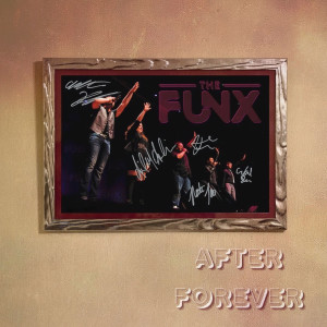 Listen to Medicine song with lyrics from The Funx
