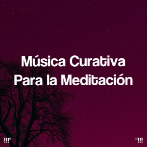 Healing Chakra Collective的专辑!!!" Música curativa para la meditación "!!!