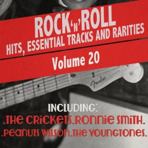 Various Artists的專輯Rock 'N' Roll Hits, Essential Tracks and Rarities, Vol. 20