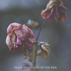 收听Peace Reels的The Setting Sun歌词歌曲