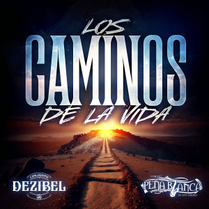 Album Los Caminos De La Vida from Conjunto Dezibel