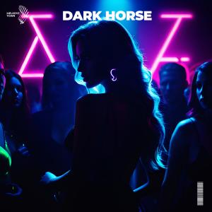 eyeroze的專輯Dark Horse (Cover)