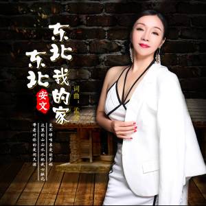 Album 东北东北我的家 from 安文