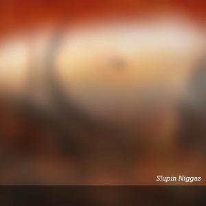 Dengarkan Slumpin Niggaz (Original Mix|Explicit) lagu dari Trn dengan lirik