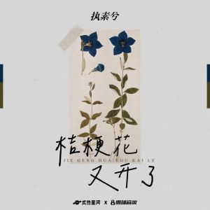 执素兮的专辑桔梗花又开了