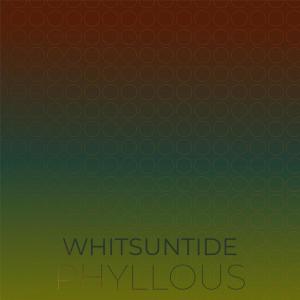 ดาวน์โหลดและฟังเพลง Whitsuntide Phyllous พร้อมเนื้อเพลงจาก Micky Jeto