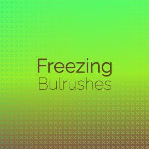 Album Freezing Bulrushes from 