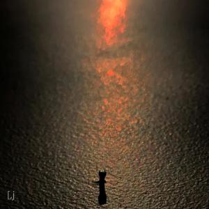 收听[,j的Misled Again歌词歌曲