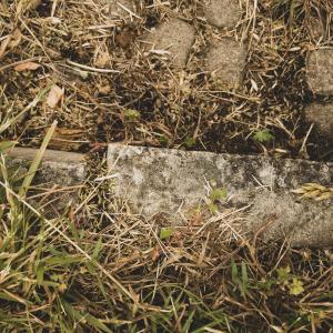 收听Hakan Olsson的Den gröna stranden歌词歌曲