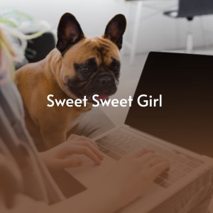 收听Don Gibson的Sweet Sweet Girl歌词歌曲