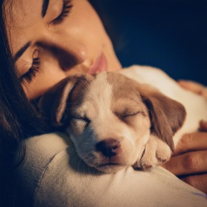 ดาวน์โหลดและฟังเพลง Susurros Suaves Para Perritos พร้อมเนื้อเพลงจาก Elemento bella