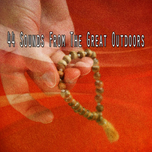 44 Sounds From The Great Outdoors