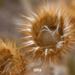 收聽EDEN的isohel (Explicit)歌詞歌曲