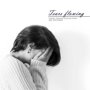 Listen to Tears flow song with lyrics from 하늘그림