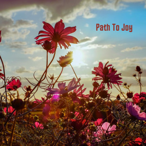 The Harmony的专辑Path To Joy