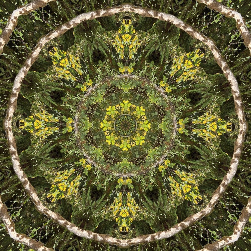Frequency