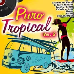 收聽Los Tucanes del Mar的Noche Tropical歌詞歌曲