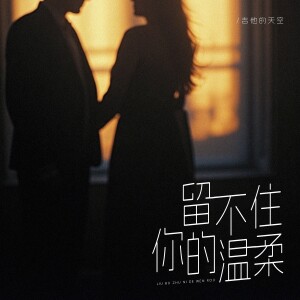 Album 留不住你的温柔 from 吉他的天空