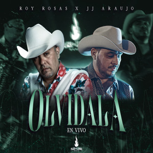 Dengarkan lagu Olvídala (En Vivo) nyanyian Roy Rosas dengan lirik