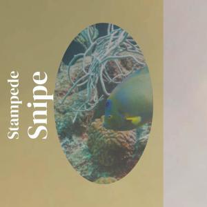 Dengarkan Cobos Confine lagu dari Erio Sman dengan lirik