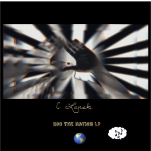 Album Roc the Nation Lp from C Lanski