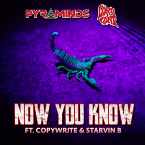Pyraminds的专辑Now You Know (Explicit)