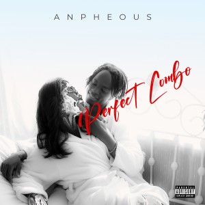 Album Perfect Combo from Anpheous