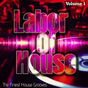 Labor of House, Volume 1 - the Finest House Grooves dari Various