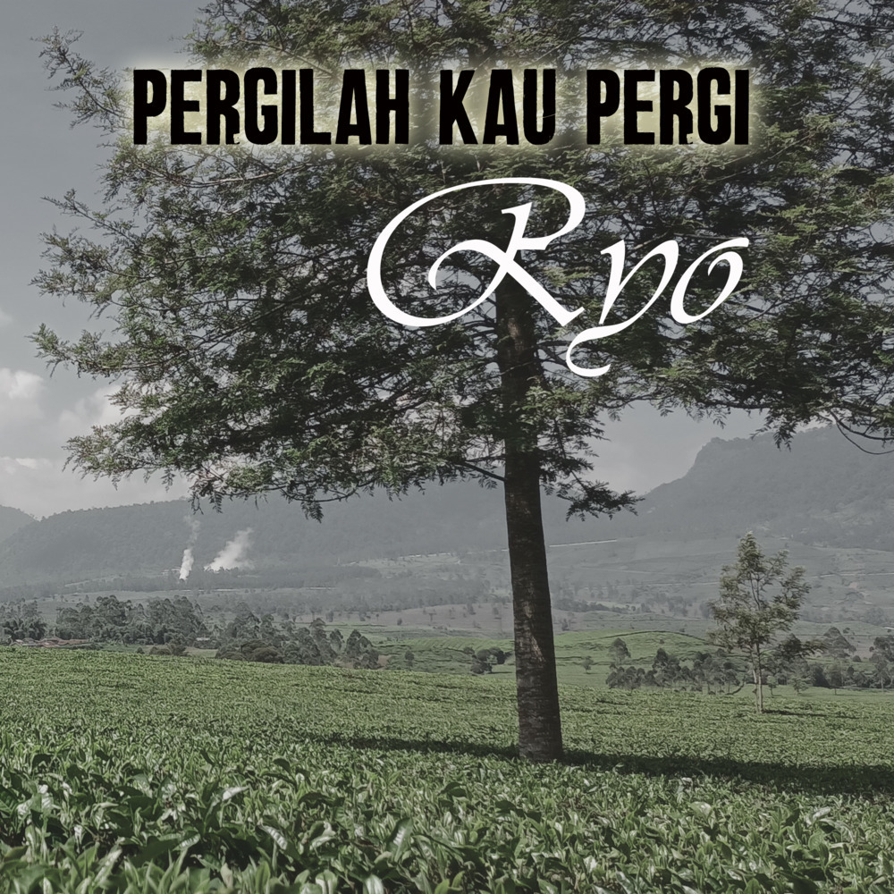 Pergilah Kau Pergi