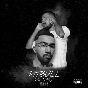 收聽Igão Mc的Pitbull de Raça歌詞歌曲