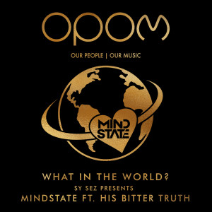 Listen to What In The World? (Main Mix) song with lyrics from Sy Sez Presents