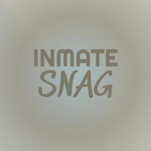 Listen to Inmate Snag song with lyrics from Roin Etti
